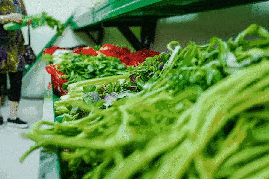 这种常见的菜其实致癌吗?不要怪我晚告诉你。