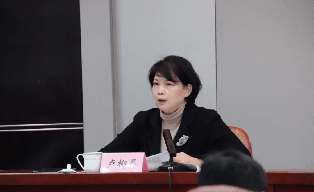 卢柳屏副市长出席会议并发表讲话