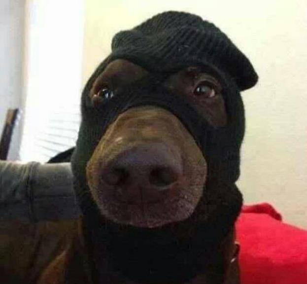 浪的看图猜成语_看图猜成语(2)