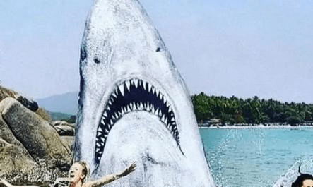 印度海滩藏有一处鲨鱼头，露出尖牙利齿，堪称世界绝无仅有