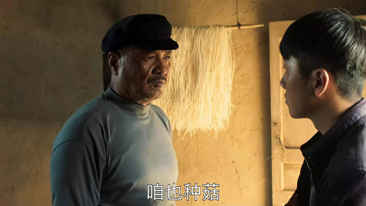 山海情:得宝有件事做得不地道,得福也没这个意识,还是太年轻啊