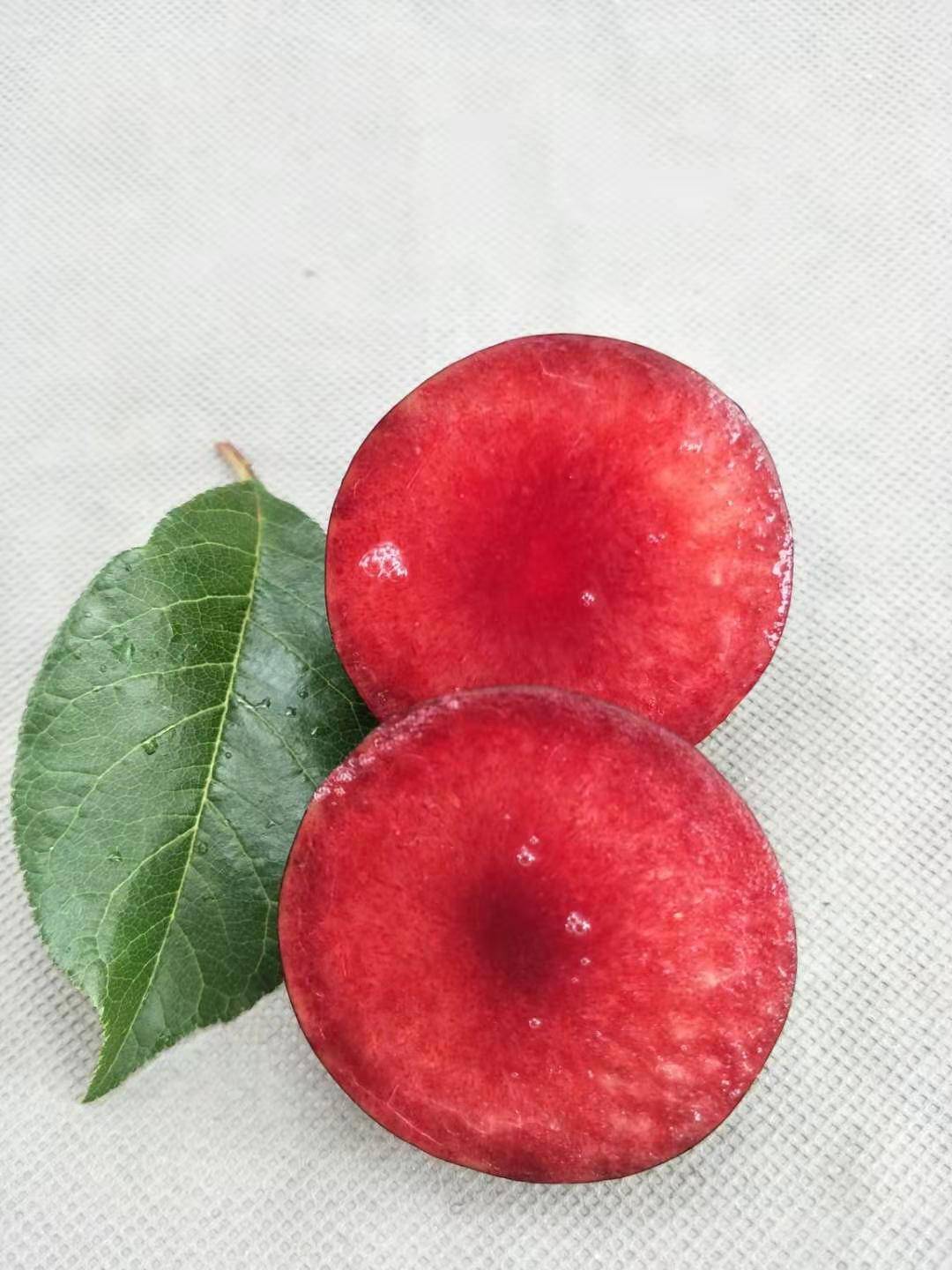 李子中的新贵"蜜桔红李"