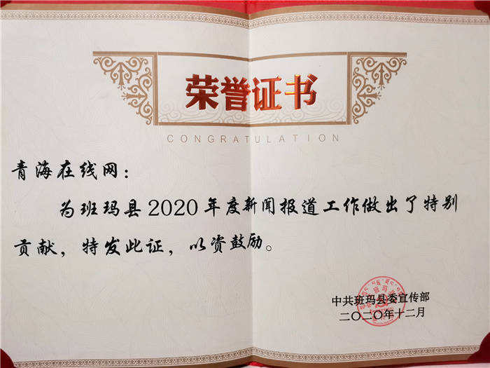 喜讯青海在线网又双叒叕收到一份荣誉证书