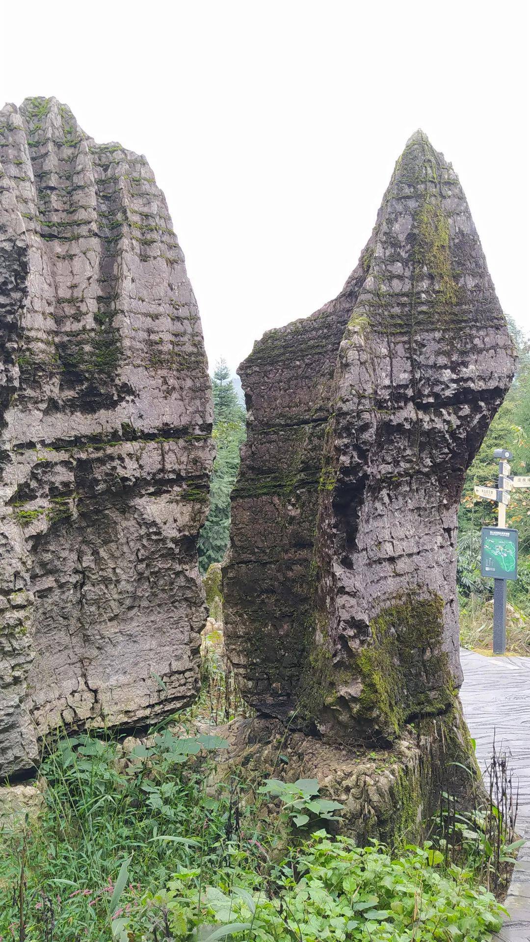 僰人巨石阵景区位于四川省宜宾市兴文县僰王山镇永寿社区村,地处川,黔