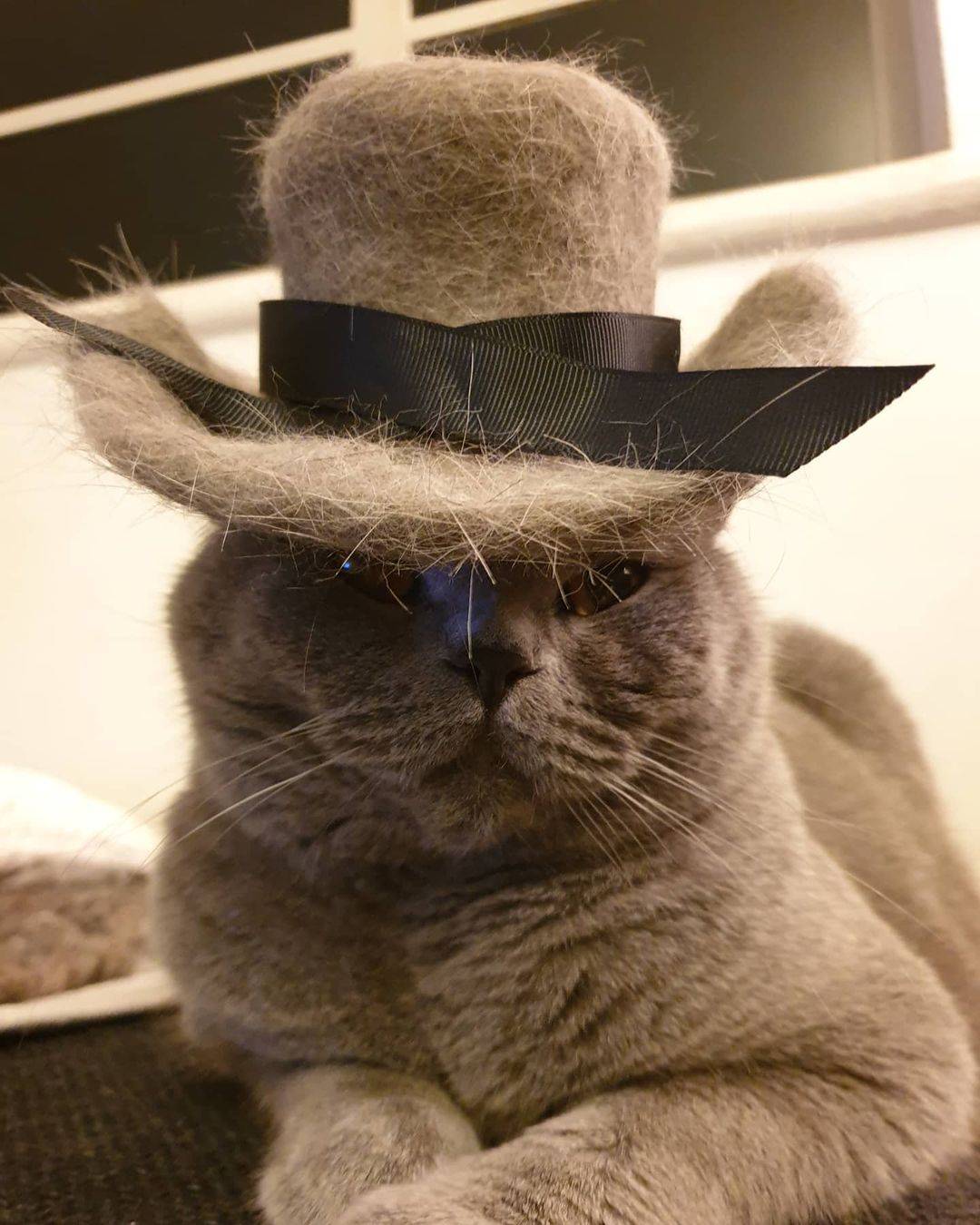 绅士风!妥妥进军时尚界