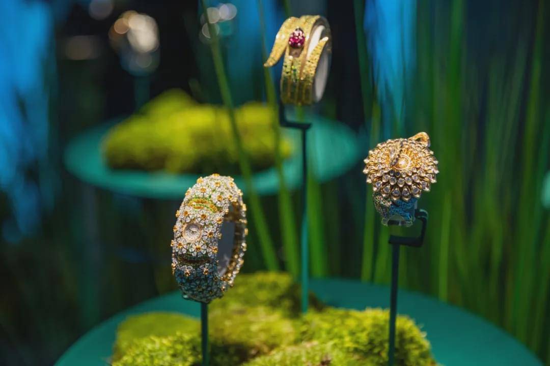 ����ű������ſս�ħ��,��ʱ6��������������!