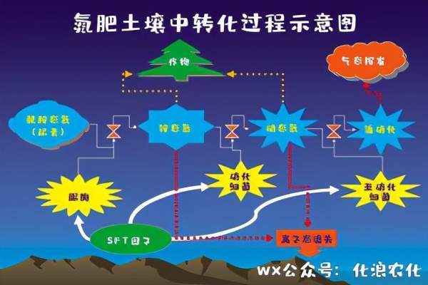 肥料小講堂第一講氮肥上