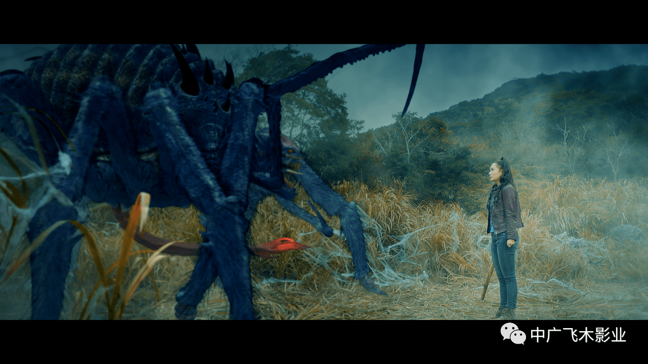 怪兽动作大片狂暴魔蛛将于1月28日在优酷正式上线