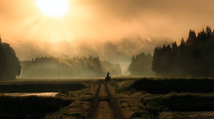 家电业务员们真迷茫:下一步干什么,怎么干才好 ?-家电圈官网