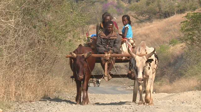 非洲最穷的国家之一，如同“世外桃源”一般，牛的地位比人还高！