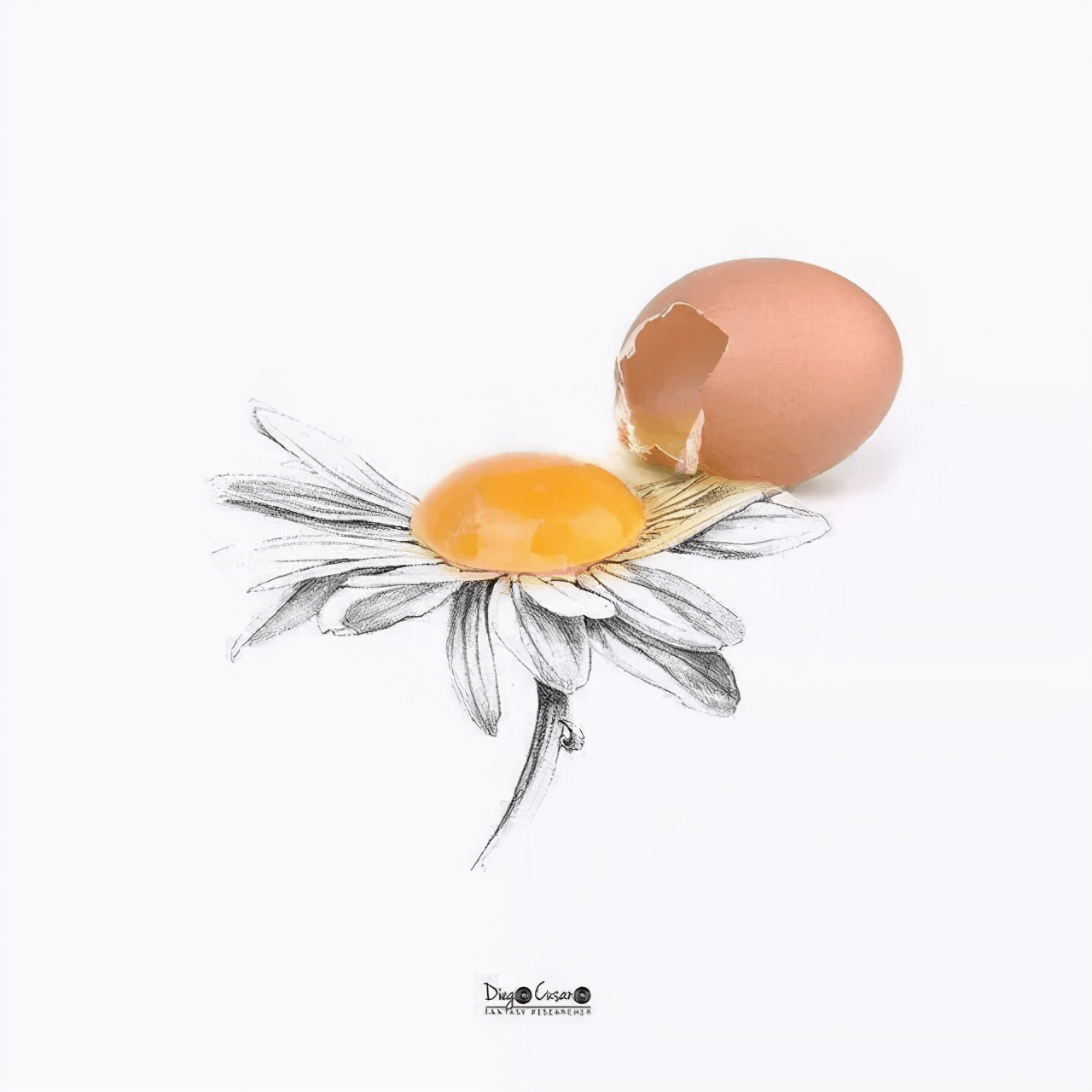 奇思妙想,创意十足!
