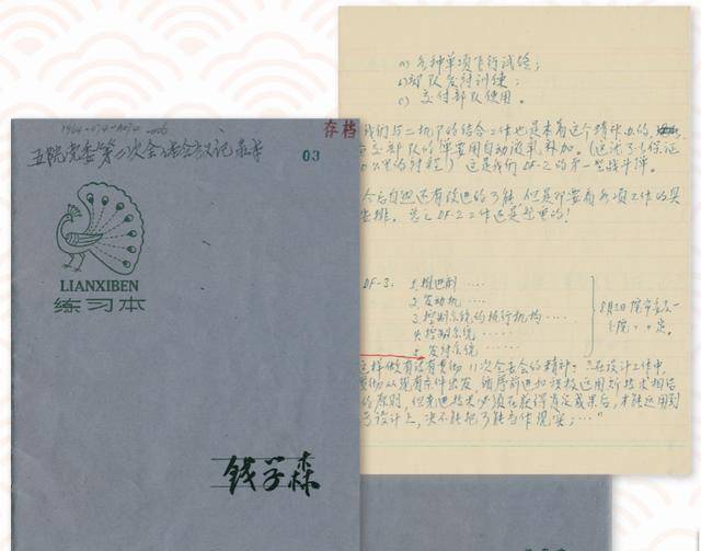 鹰目之光