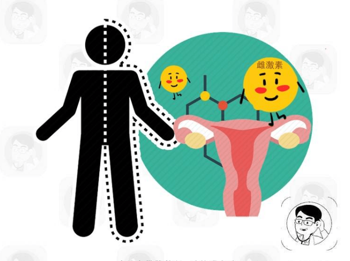 原创4种食物堪称天然雌激素女性常吃能有效滋养卵巢抗衰老