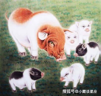 福过祸生是什么生肖动物，标准代表解答