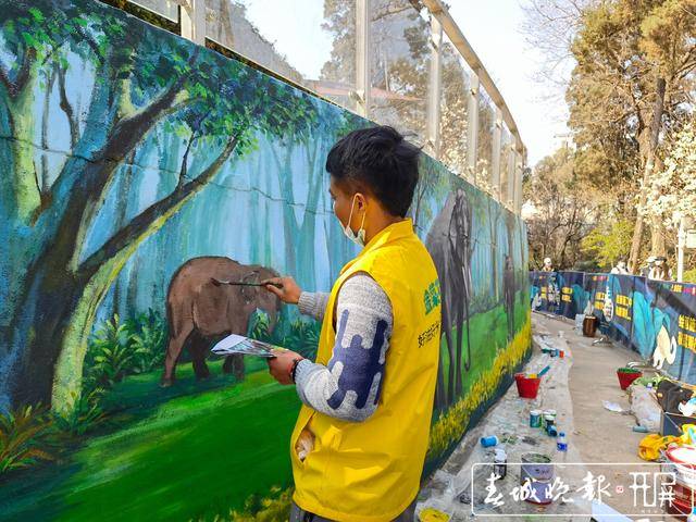 亚洲象走上“墙”成景观！昆明动物园大象馆27米文创墙绘画亮点多多…