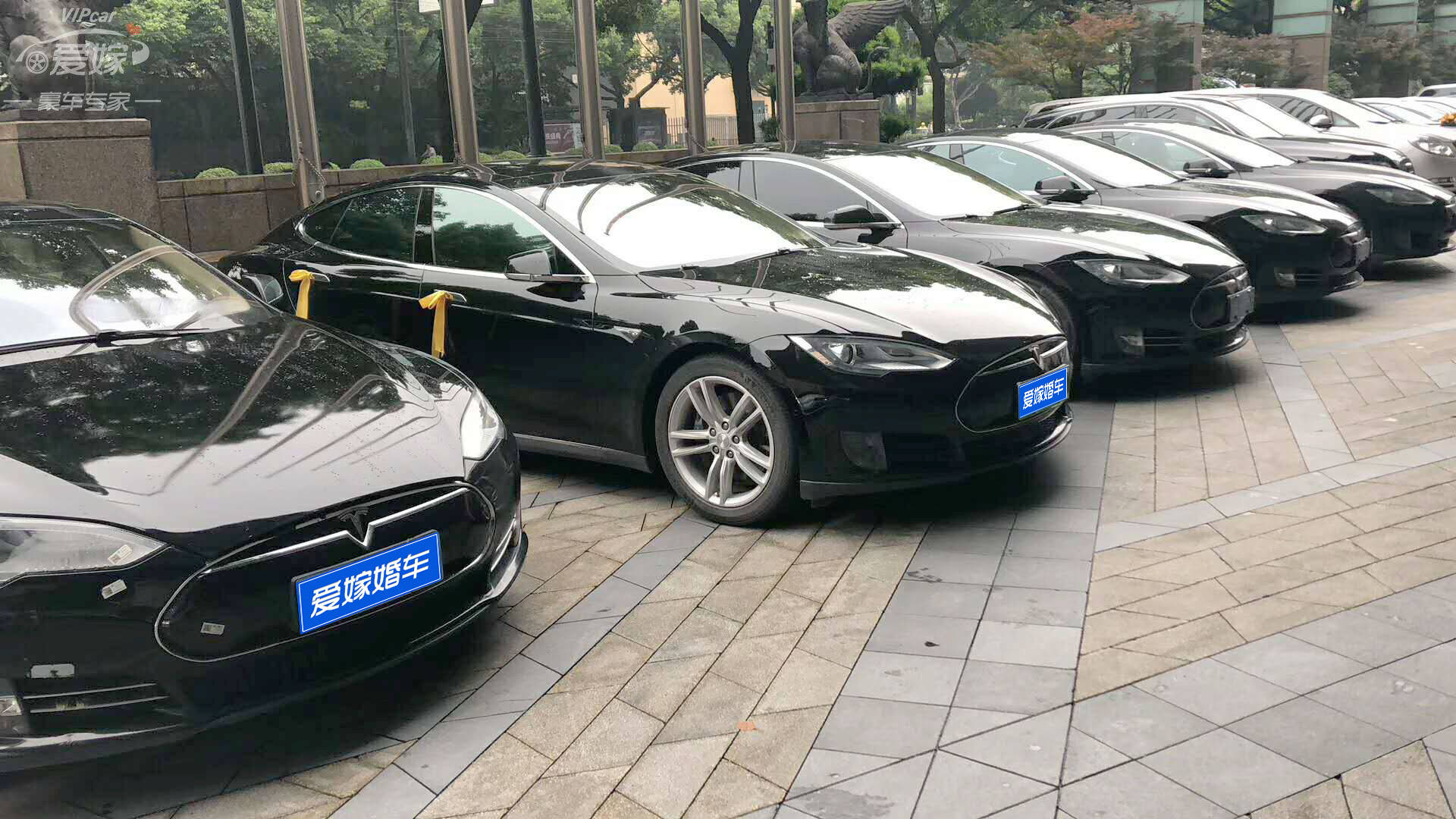 特斯拉是结婚的合适车吗?