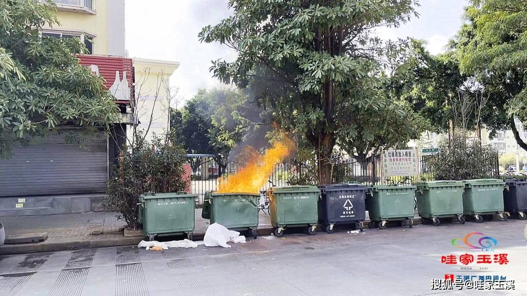 路遇火情 记者秒变消防员_垃圾桶