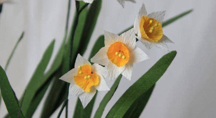 1月下旬后 四大属相财气逼人 事业一路高涨 赚钱如鱼得水 生肖