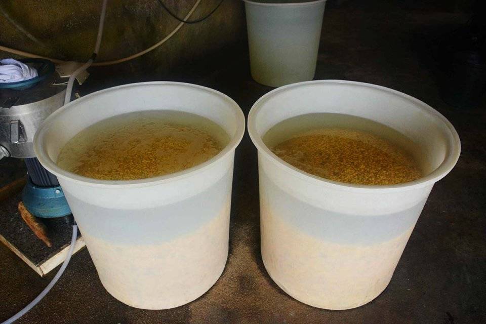 山村夫妻做1门手艺7年,寒冬开10台电扇,看他们为啥不怕冷_豆皮