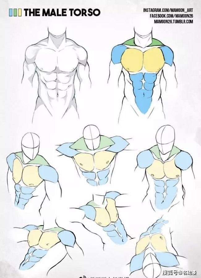 健美的肌肉怎样画教你动漫男性肌肉的画法