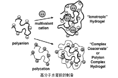 交联共聚/无规/改性共聚物水凝胶介绍