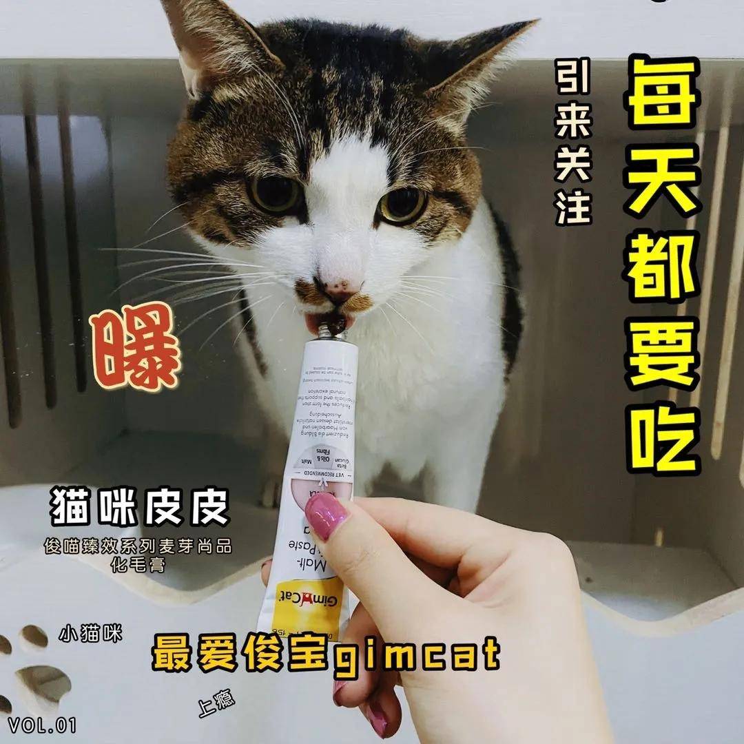 猫爱吃塑料袋怎么办 ba66f7bbef834dfdb617004d4d9812e5.jpeg