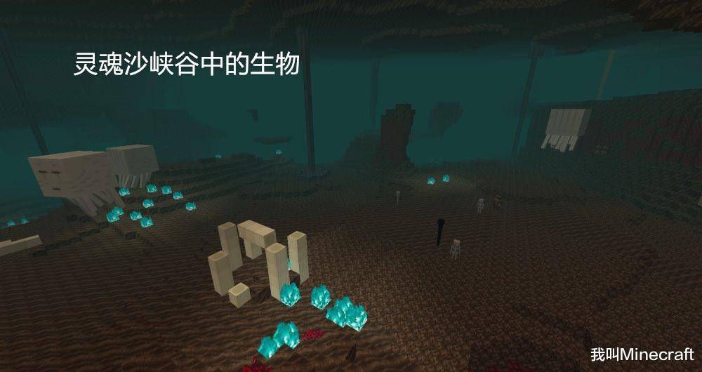我的世界探秘灵魂沙峡谷不为人知的13个秘密mc的死亡之谷