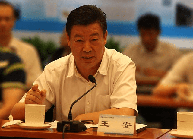 说实话,王安算得上是中国电脑界的英雄人物,虽然结局凄凉,但也确实向