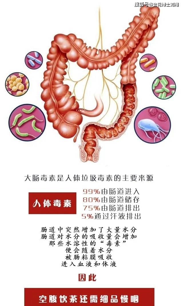 成语嚼什么咽_咽腭弓什么样子图片(3)