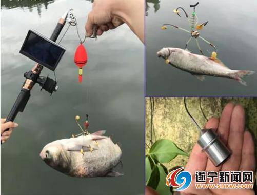 四川射洪首例两男子用可视锚鱼器非法捕鱼被刑拘