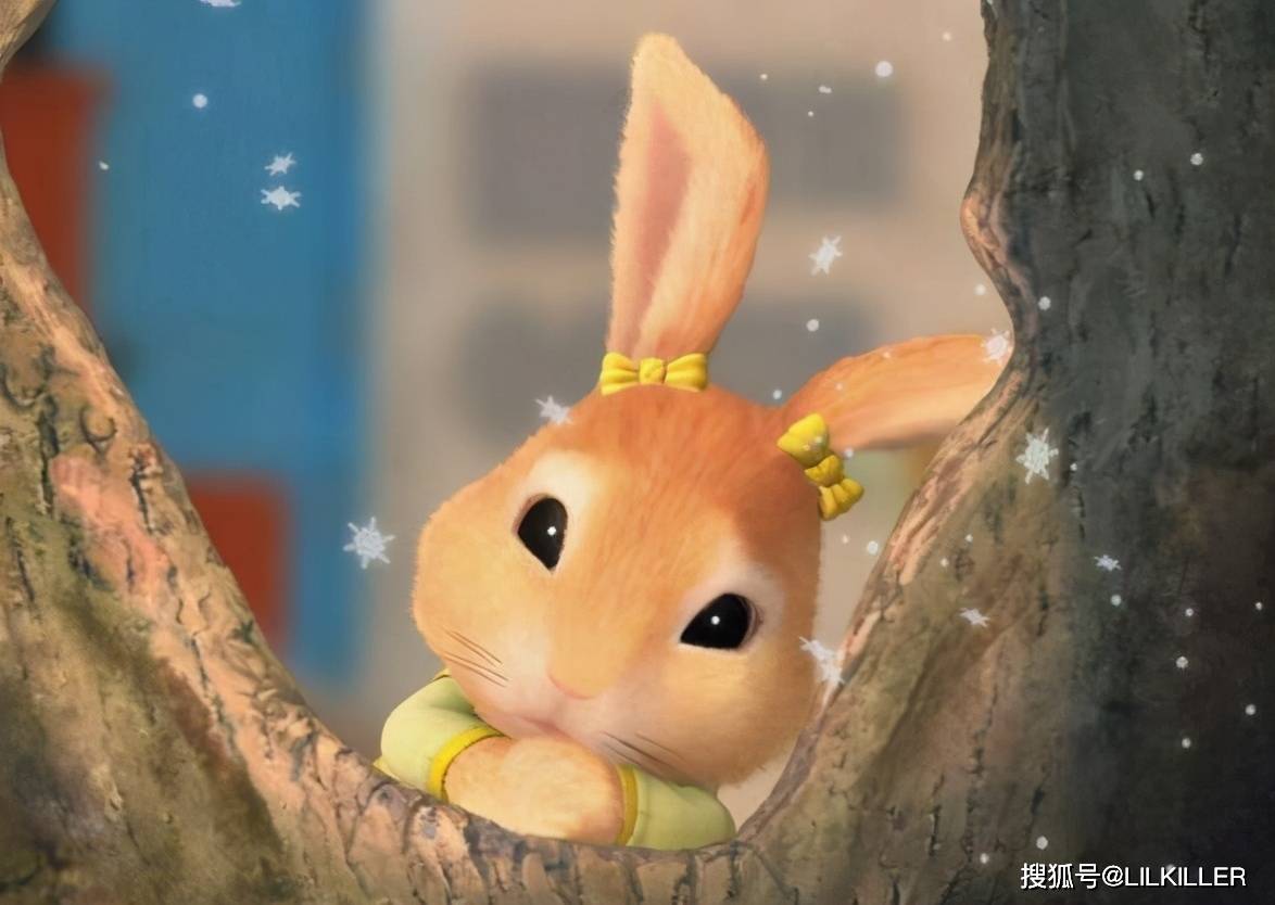 2025生肖兔运势搜狐网(2025属兔运势)