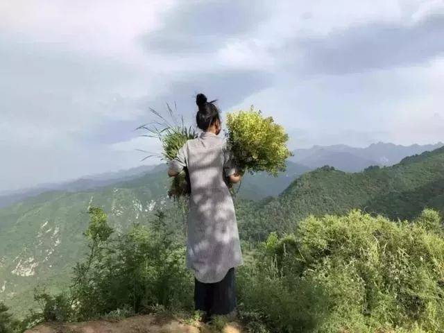 美女隐居终南山修行因付不起房租又回来了