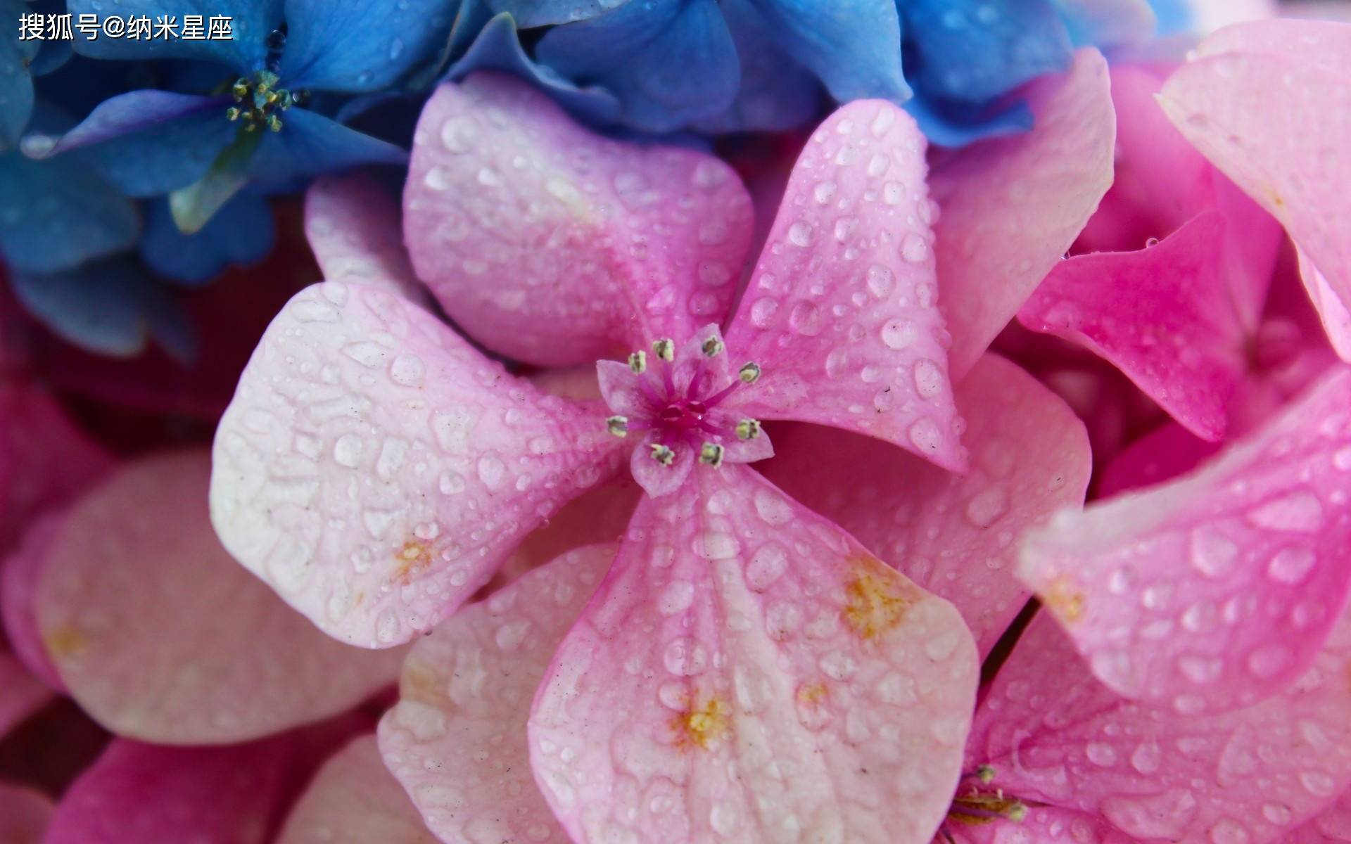 宠爱恋人,气质优雅的三大星座,体贴温柔有品位,让人过目不忘