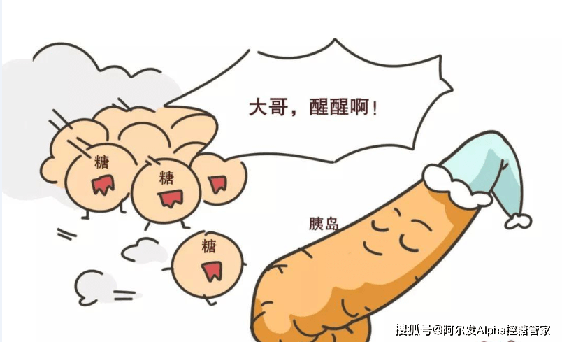 胰岛素高峰延迟怎么办