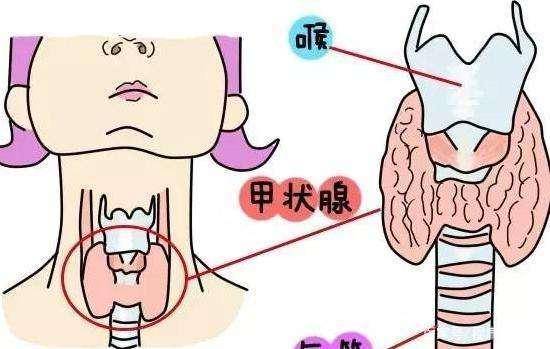 甲減這個病會自己好嗎?要是看懂這篇文章能降低患病概率!