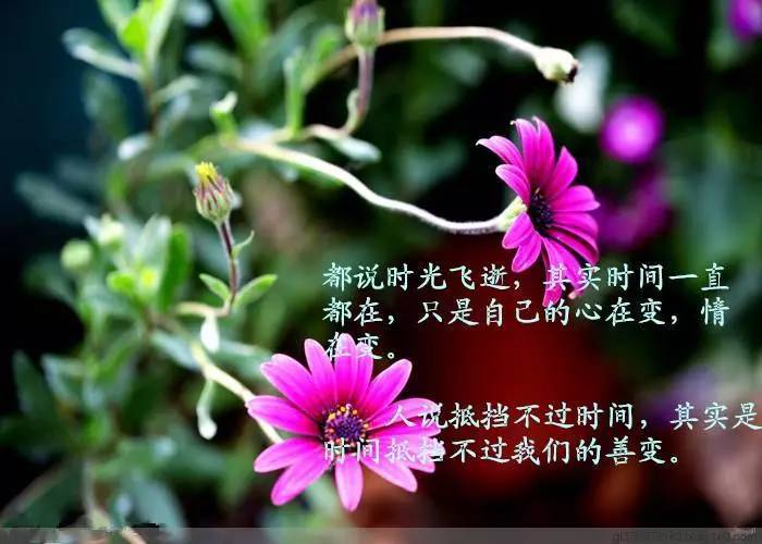 19,世上没有完美无缺的东西,有时候缺憾也是一种美.