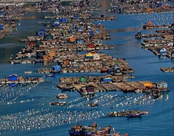 临海多少人口_蒙古国人口多少人口(2)