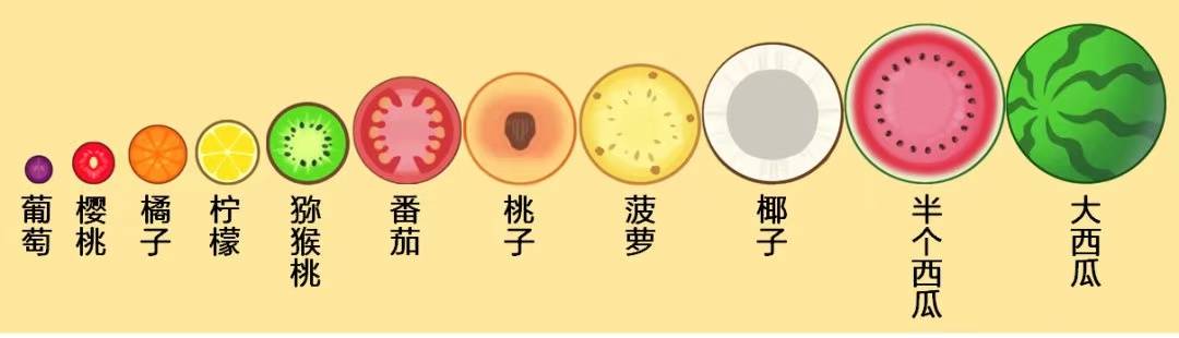 玩家|合成大西瓜一周揽4000万玩家，难到这就是碰瓜的开心时刻？