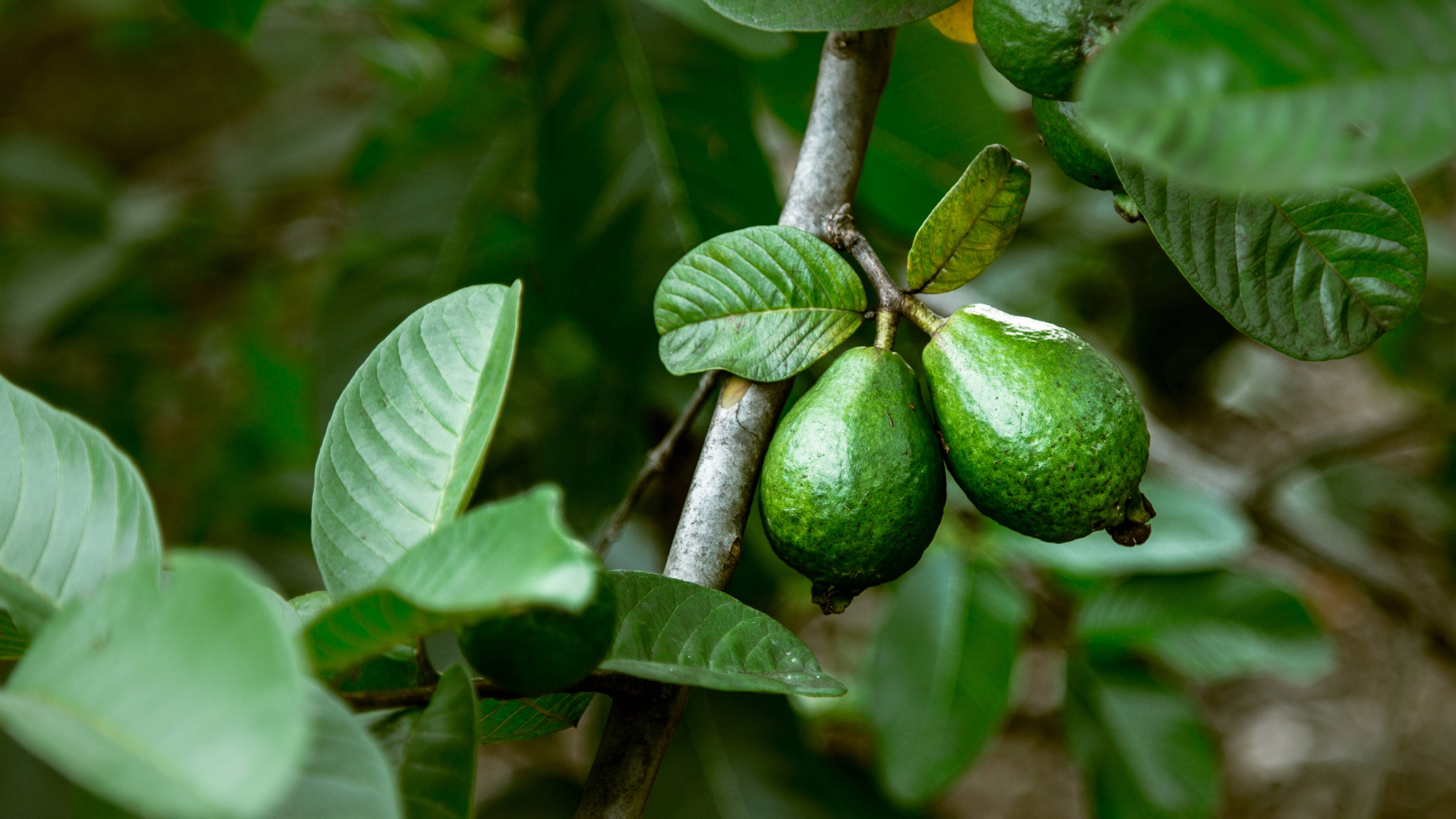 原创从周二开始运势好会吉祥如意六六大顺的三大星座