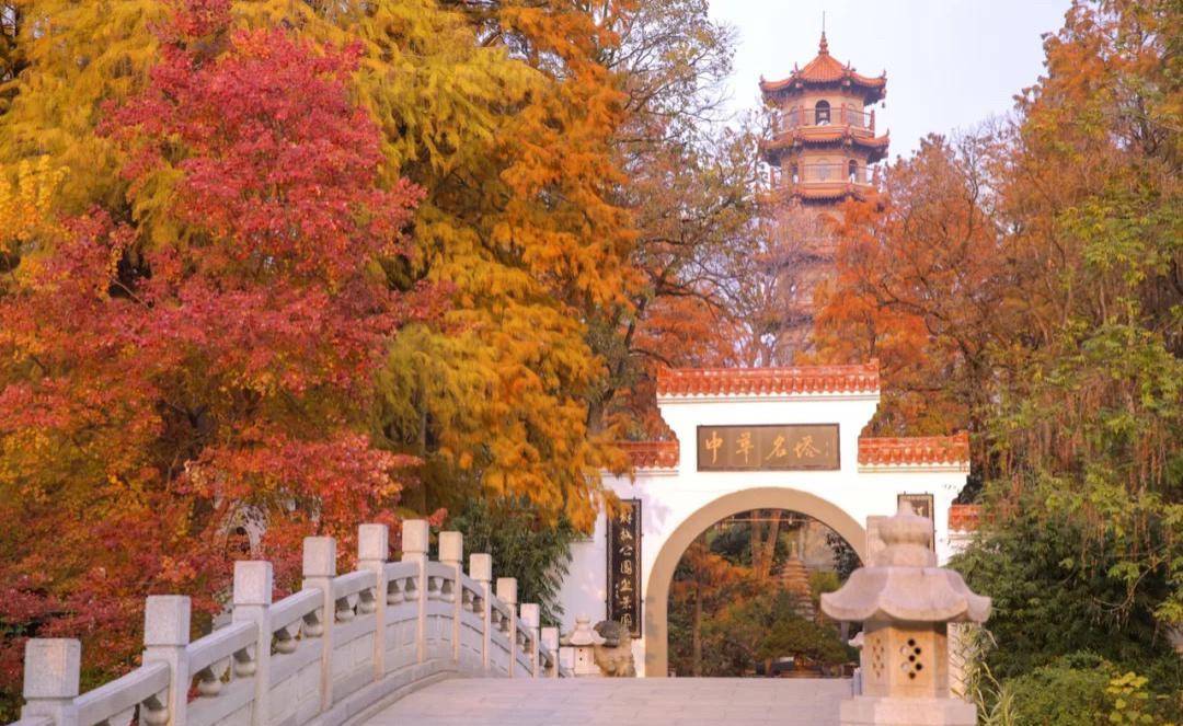 武汉最古老的公园之一，一到秋天美到爆，外地游客很少去