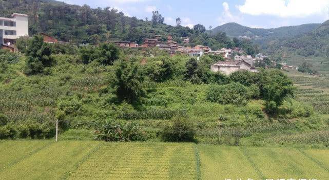 怎样纠正GDP的缺陷_转生成蜘蛛又怎样(3)