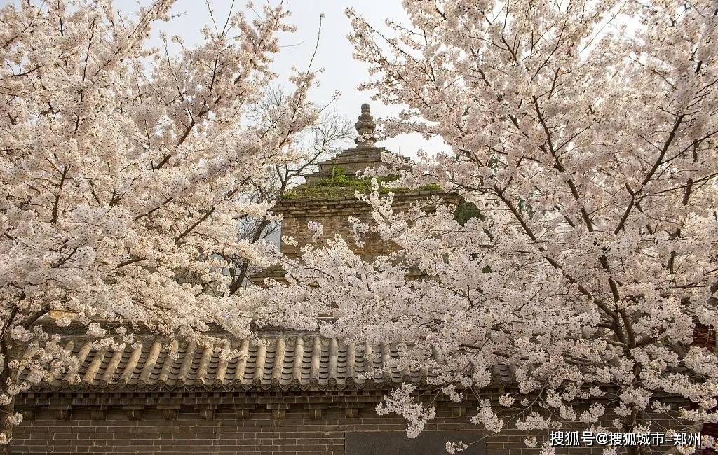 想和你去嵩山，看四季变换