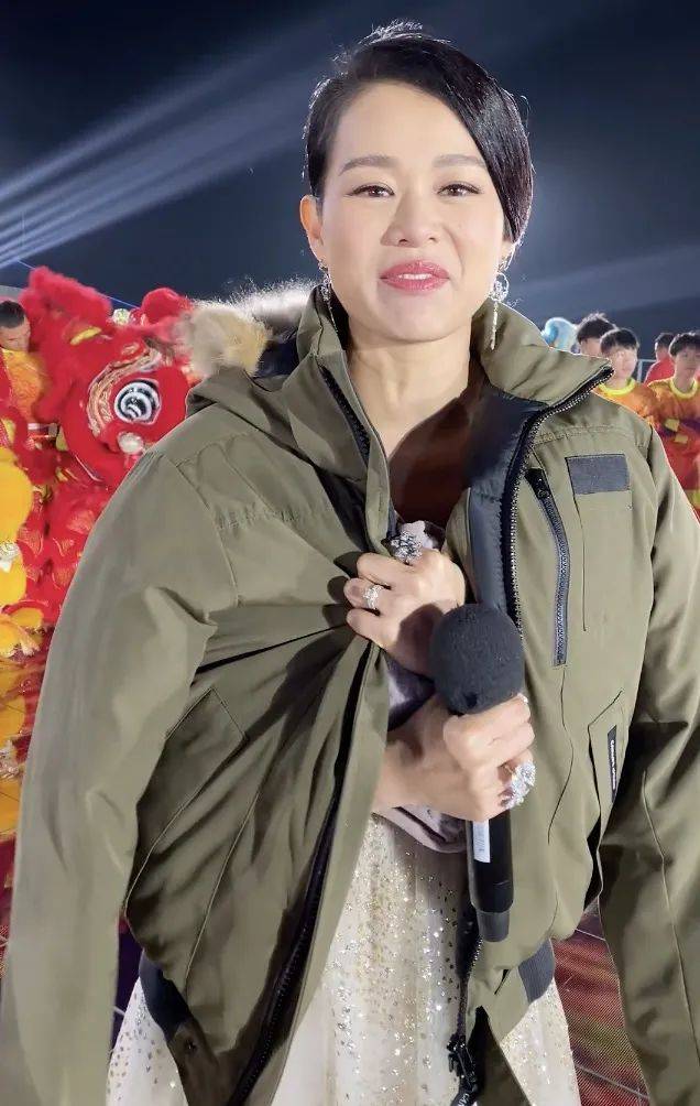 胡杏儿挺6个月孕肚现身央视春晚大联排,网友:为了养家太拼了_节目