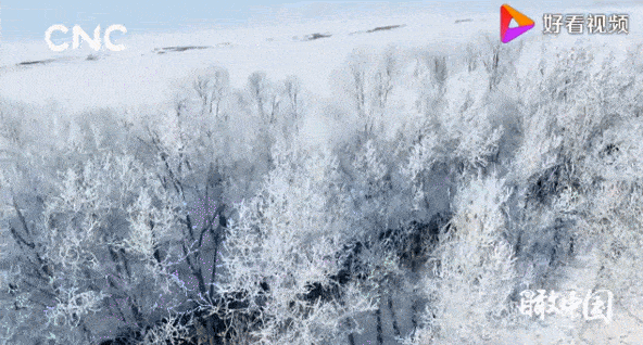 雾凇 ，为冬日的新疆注入了“仙气”！