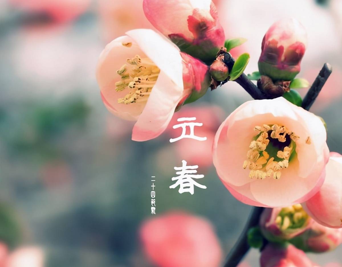 尽管立春骨气代表着气候会越来越战缓
