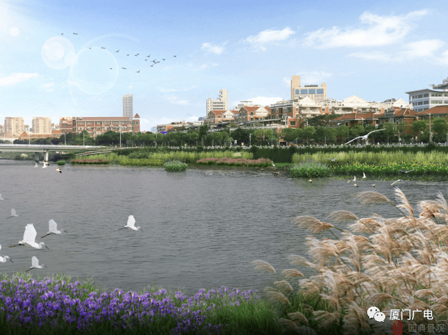 111万㎡！同安新增两个湿地公园，亲水步道、溪流生态！效果图曝光！