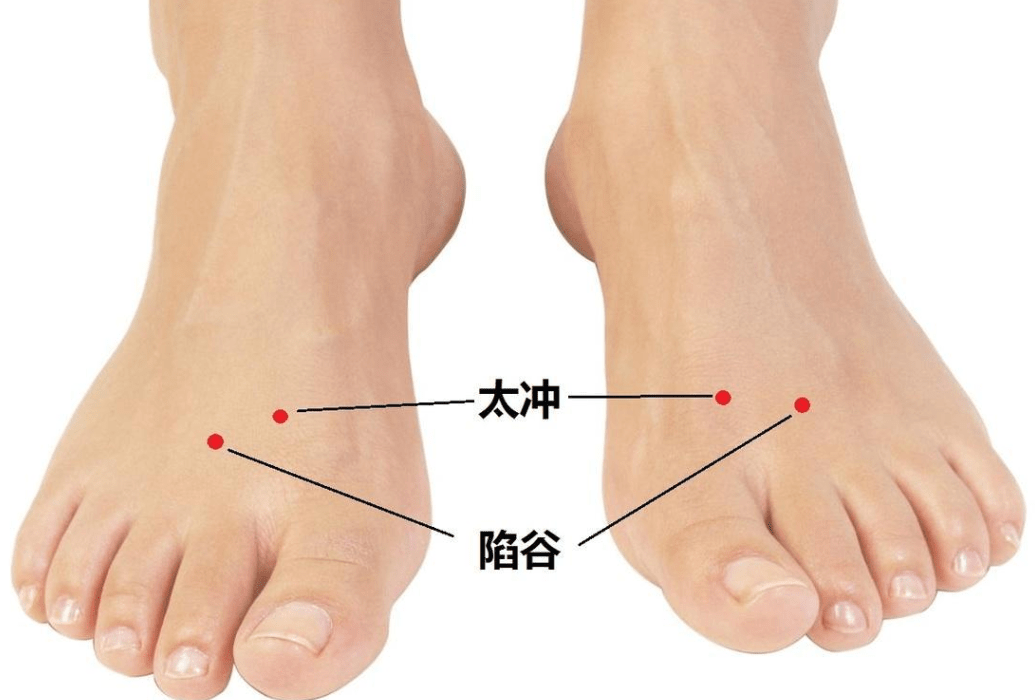 55d92b0448304a41903b6064adeaa887.png