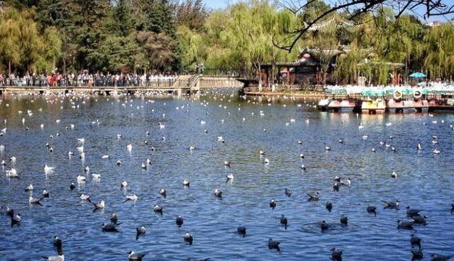 昆明一公园“走红”，曾是滇池中的一个湖湾，被赞是“城中之玉”