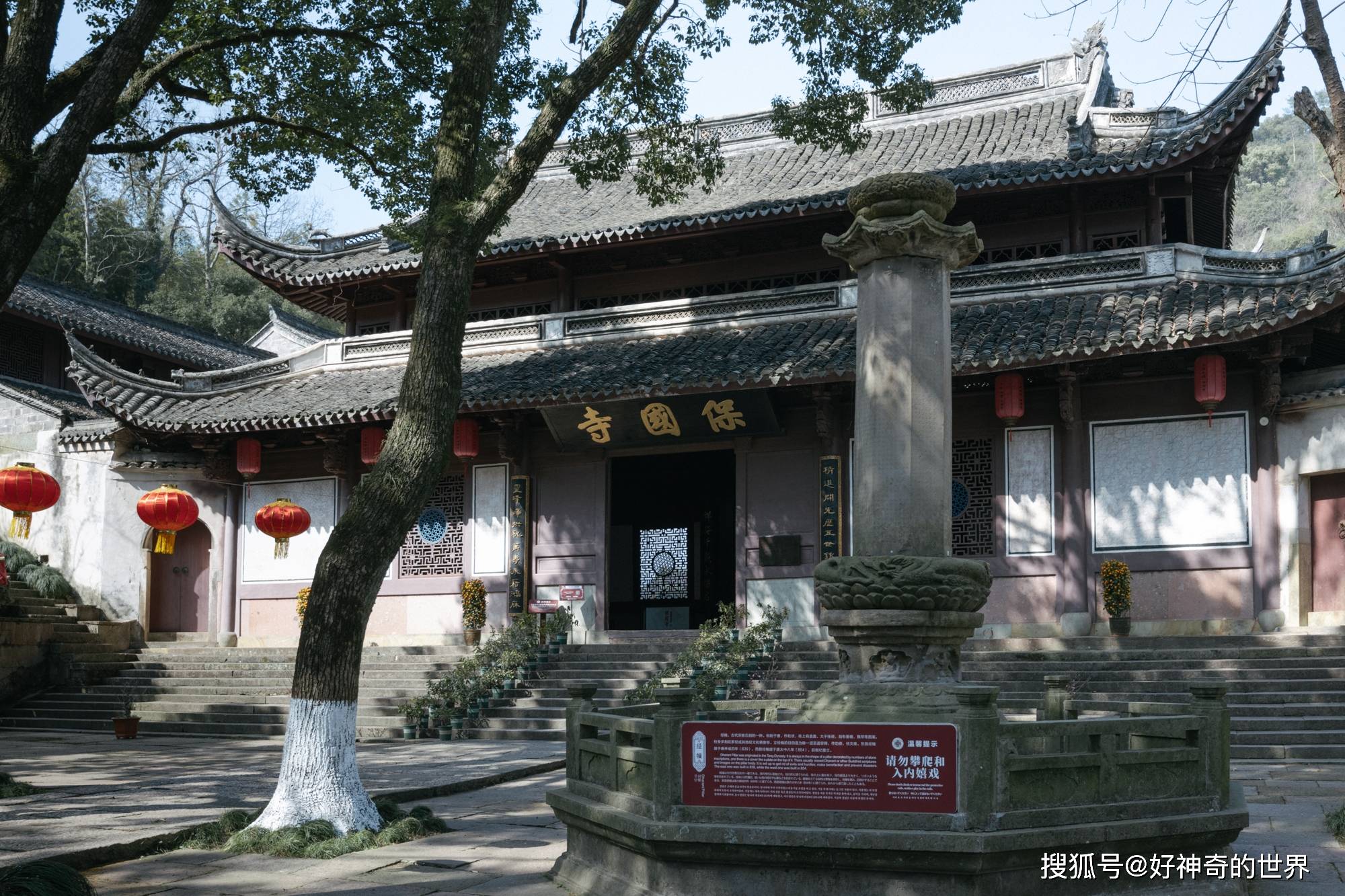 宁波不供佛像的古寺，被称为千年活化石，如今梅花开了适合亲子游