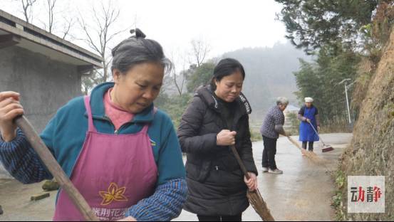 周深临安初雨古筝曲谱